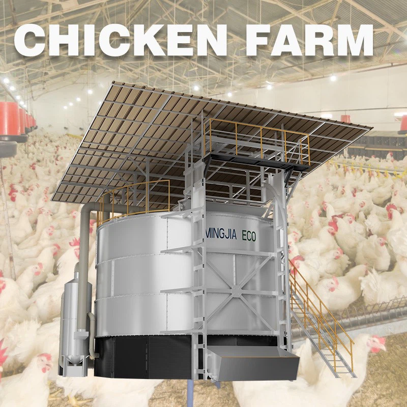 product-800-800 product-800-800