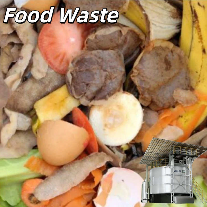product-800-800 product-800-800